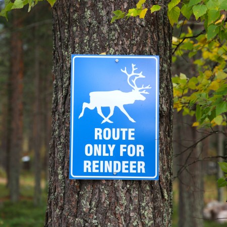 route only for reindeer sign santa claus village, rovaniemi, finland