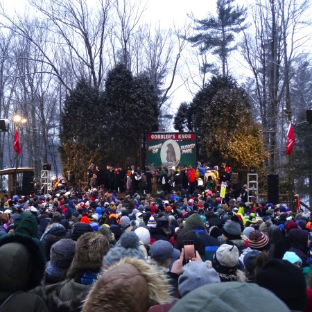 the inner circle and phil making his prediction at Groundhog Day in Punxsutawney Pennsylvania