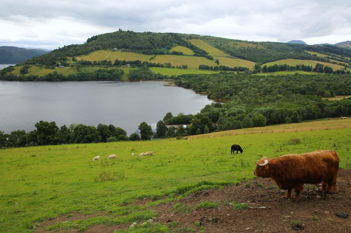 view of loch ness, inverness, scotland